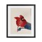 Stupell Industries Standing Cardinal Bird Framed Print Under Glass, design by Cady Driver
